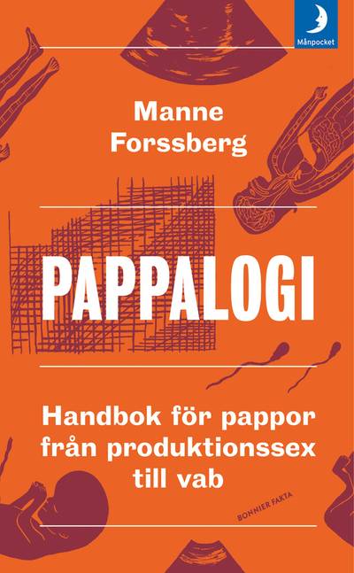 Pappalogi : handbok för pappor från produktionssex till vab