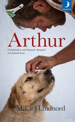 Arthur : gatuhunden som lämnade djungeln och hittade hem