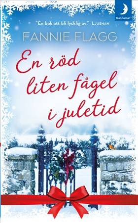 En röd liten fågel i juletid