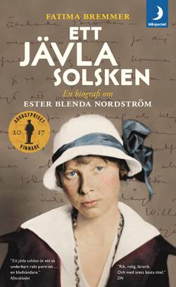 Ett jävla solsken : en biografi om Ester Blenda Nordström