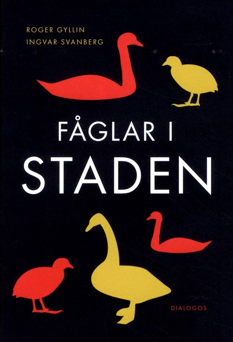 Fåglar i staden