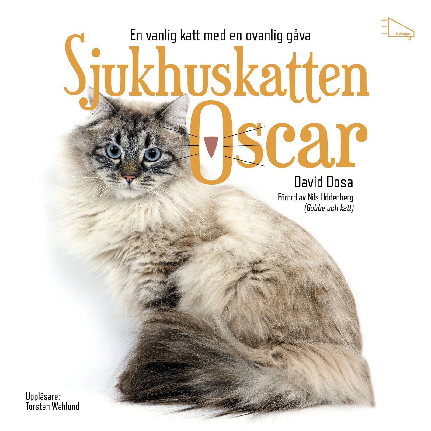 Sjukhuskatten Oscar : en vanlig katt med en ovanlig gåva