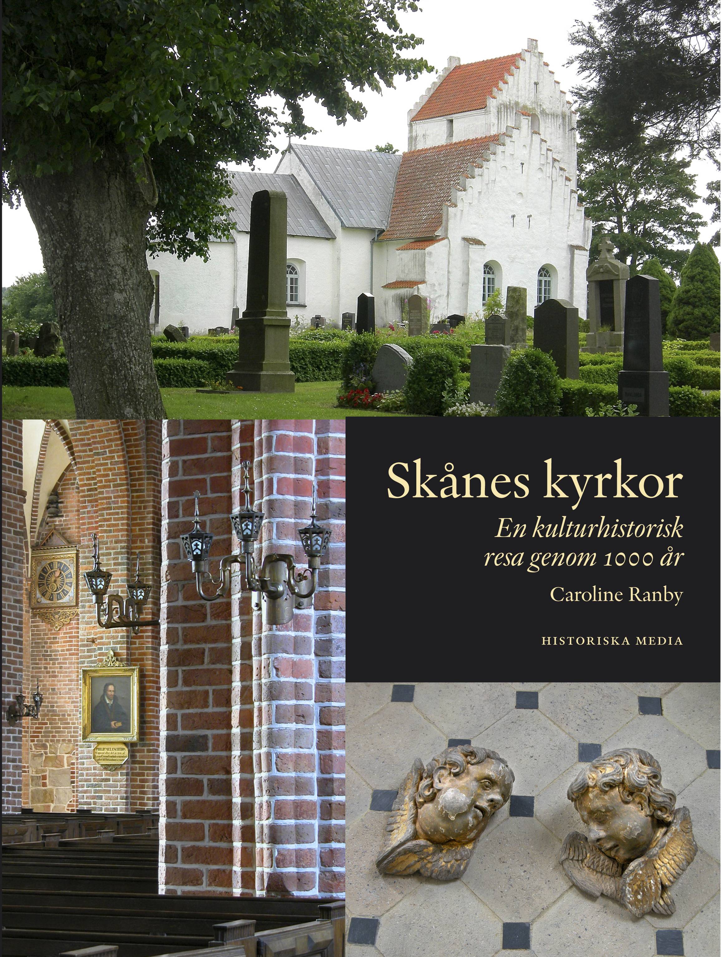 Skånes kyrkor : en kulturhistorisk resa genom 1000 år