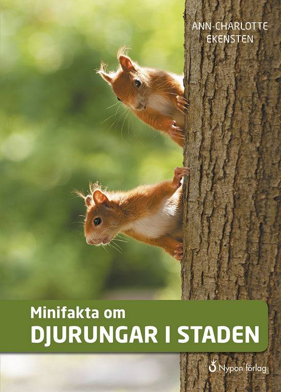 Minifakta om djurungar i staden