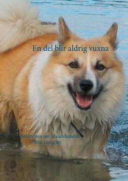 En del blir aldrig vuxna : berättelsen om Islandshunden från Gimgölet