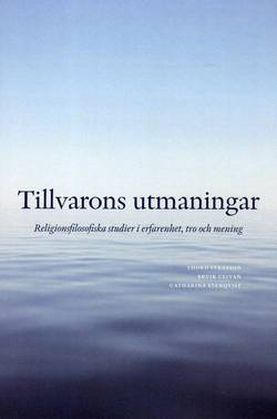 Tillvarons utmaningar : religionsfilosofiska studier i erfarenhet, tro och mening