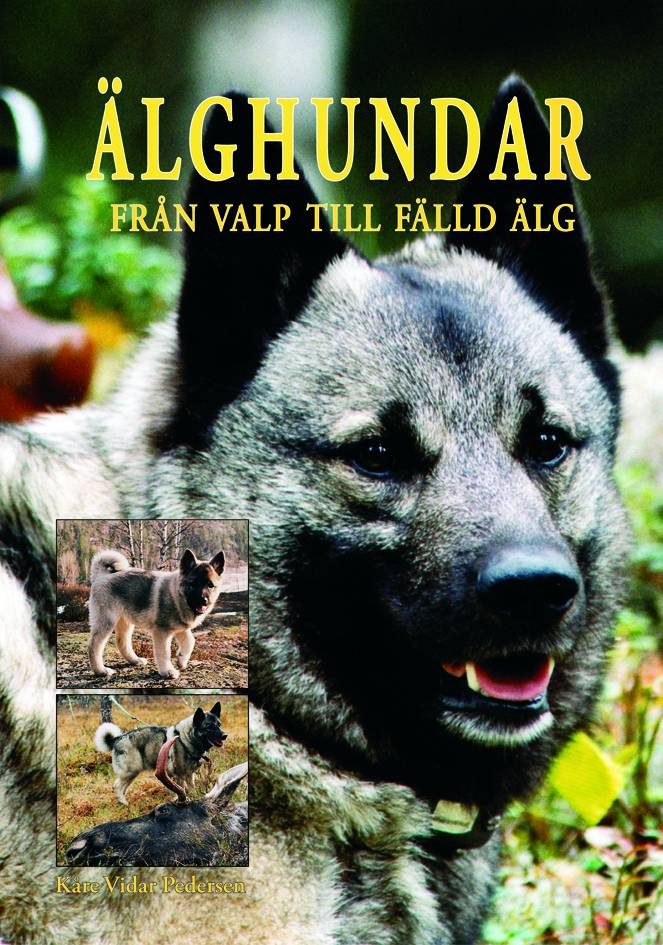 Älghundar - Från valp till fälld älg