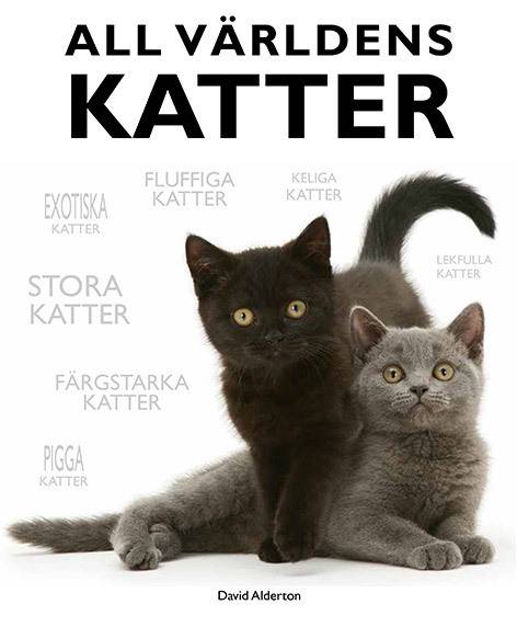 All världens katter