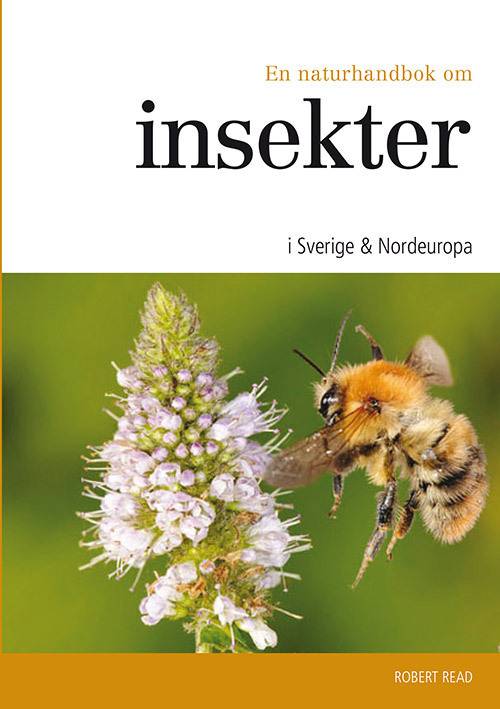 En naturhandbok om insekter i Sverige & Nordeuropa