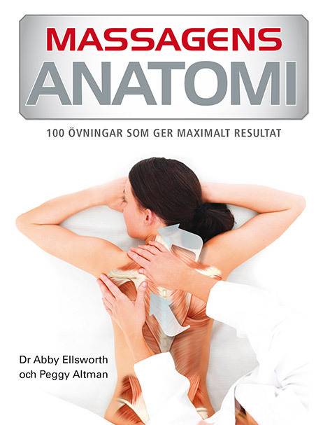 Massagens anatomi