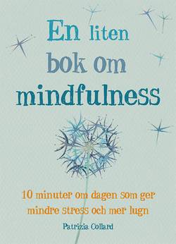 En liten bok om mindfulness : 10 minuter om dagen som ger mindre stress och mer lugn