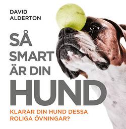 Så smart är din hund : klarar din hund dessa roliga övningar?