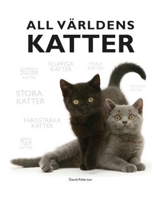 All världens katter