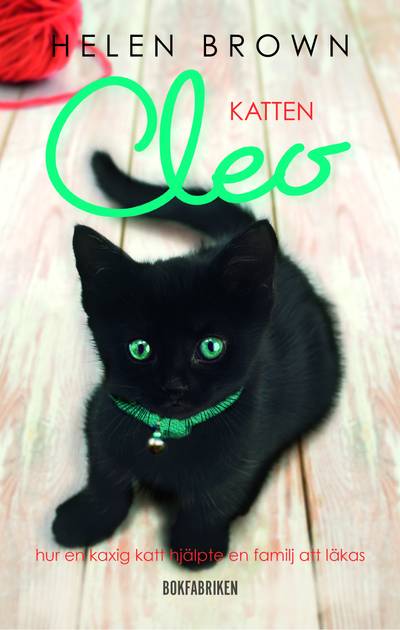 Katten Cleo : hur en kaxig katt hjälpte en familj att läkas