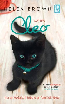 Katten Cleo : hur en kaxig katt hjälpte en familj att läkas