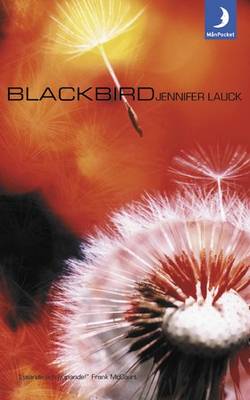 Blackbird