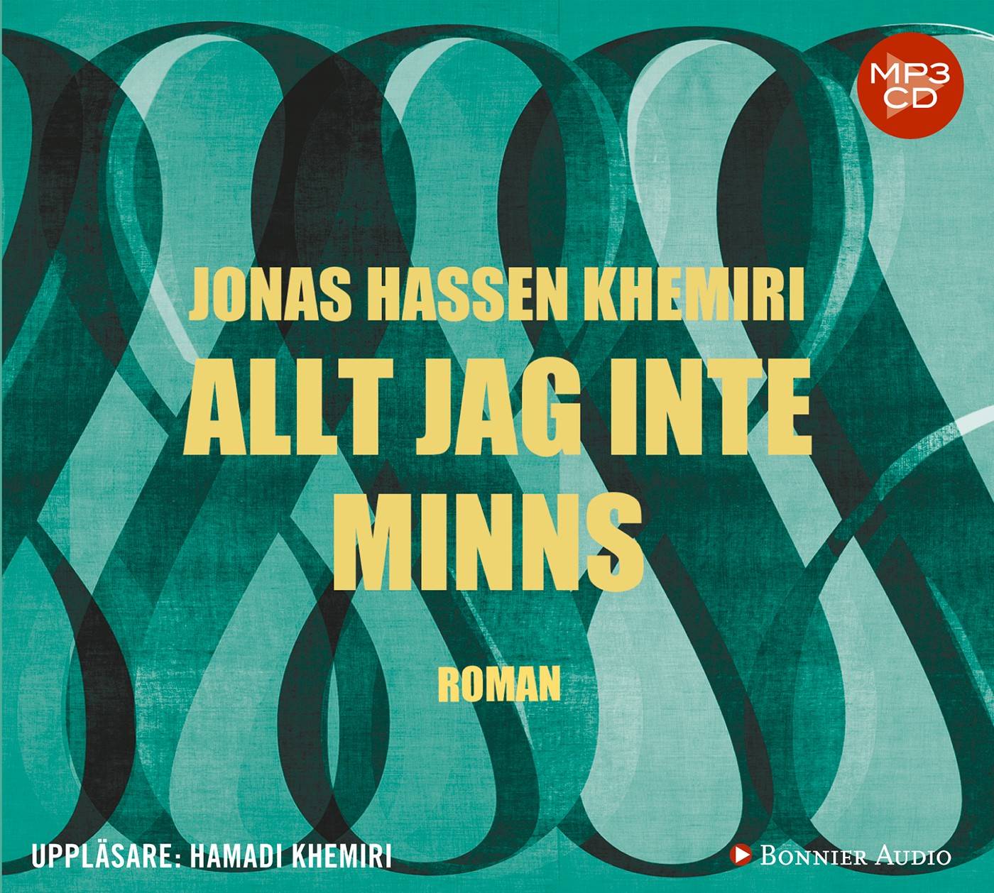 Allt jag inte minns
