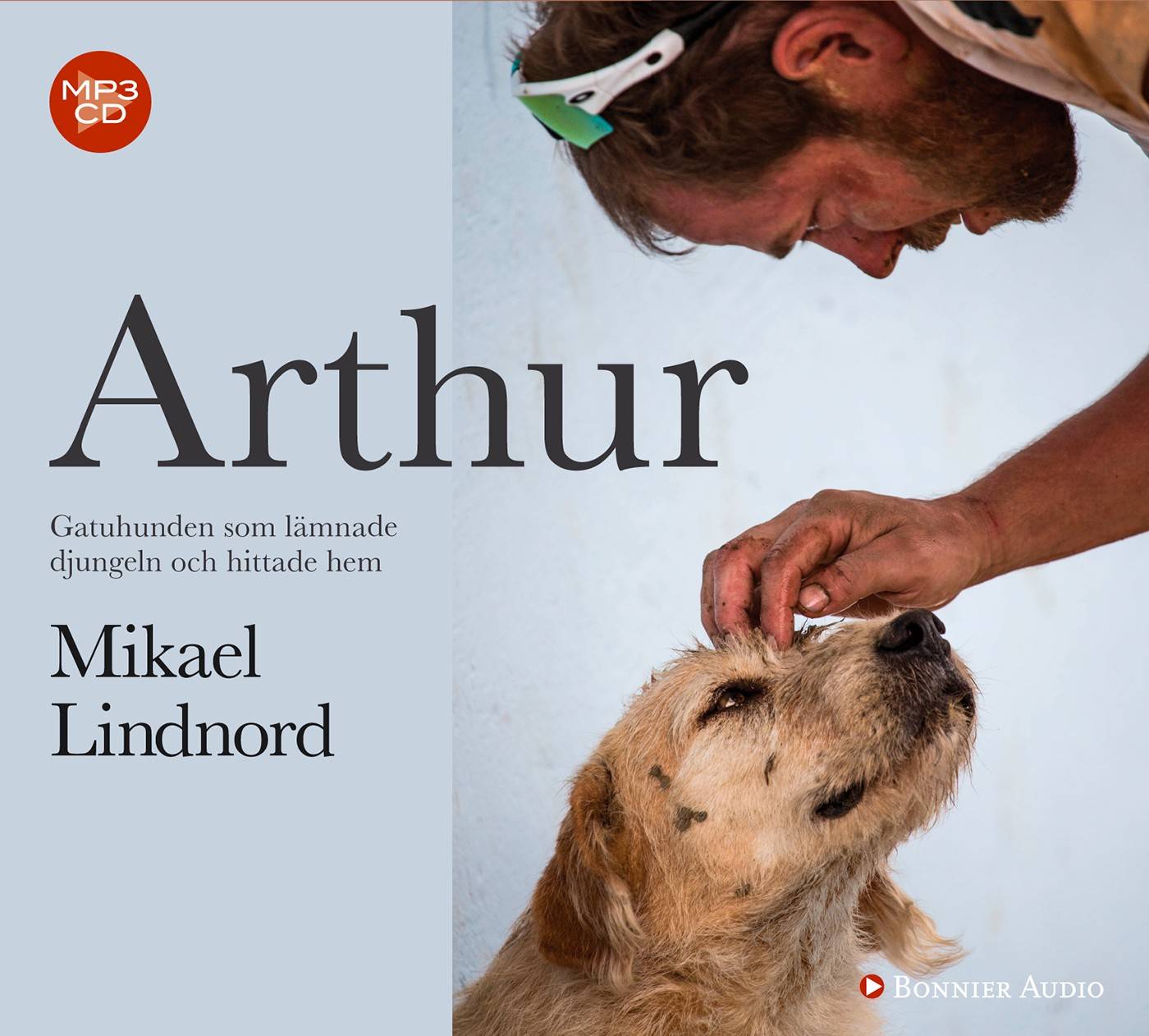 Arthur : gatuhunden som lämnade djungeln och hittade hem