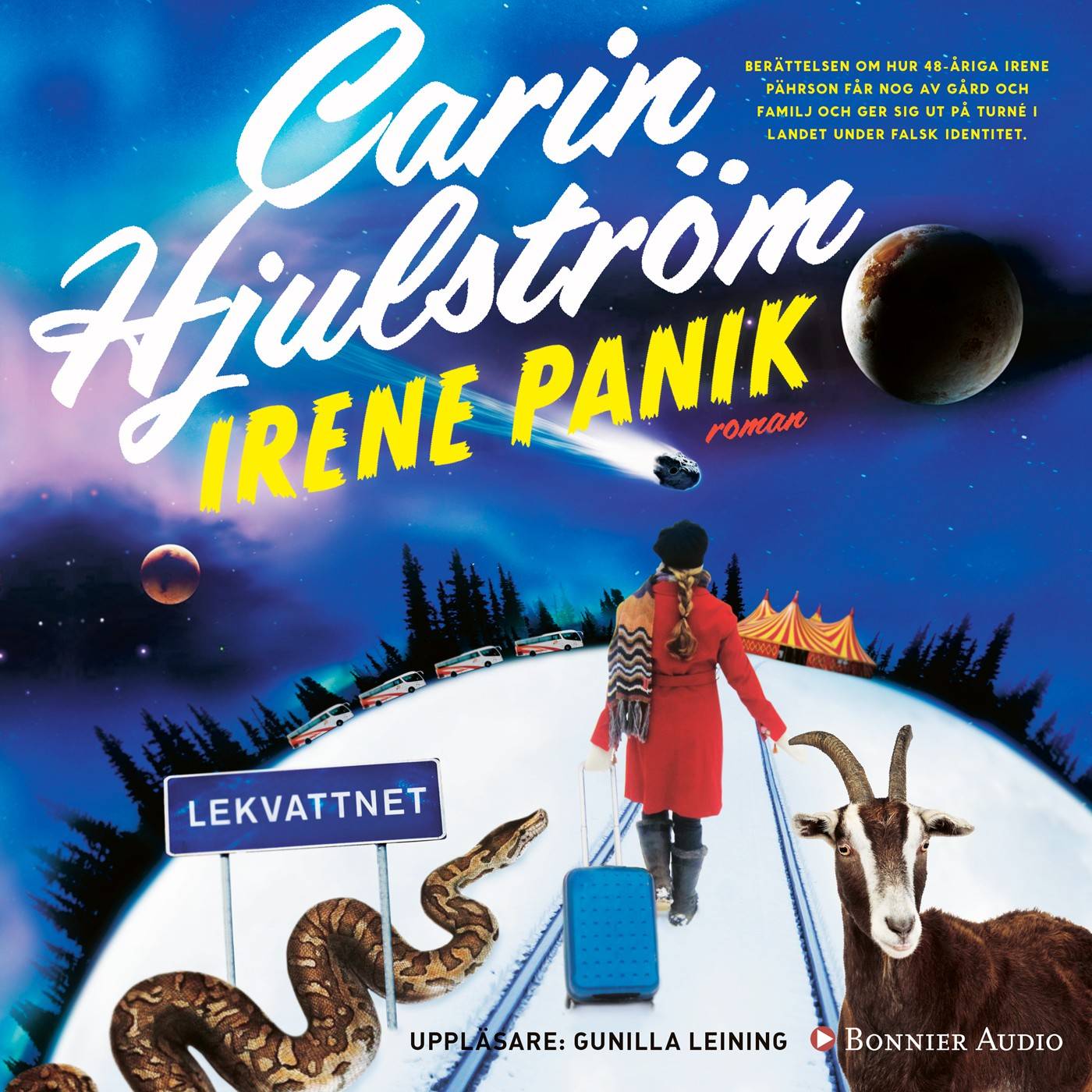 Irene Panik