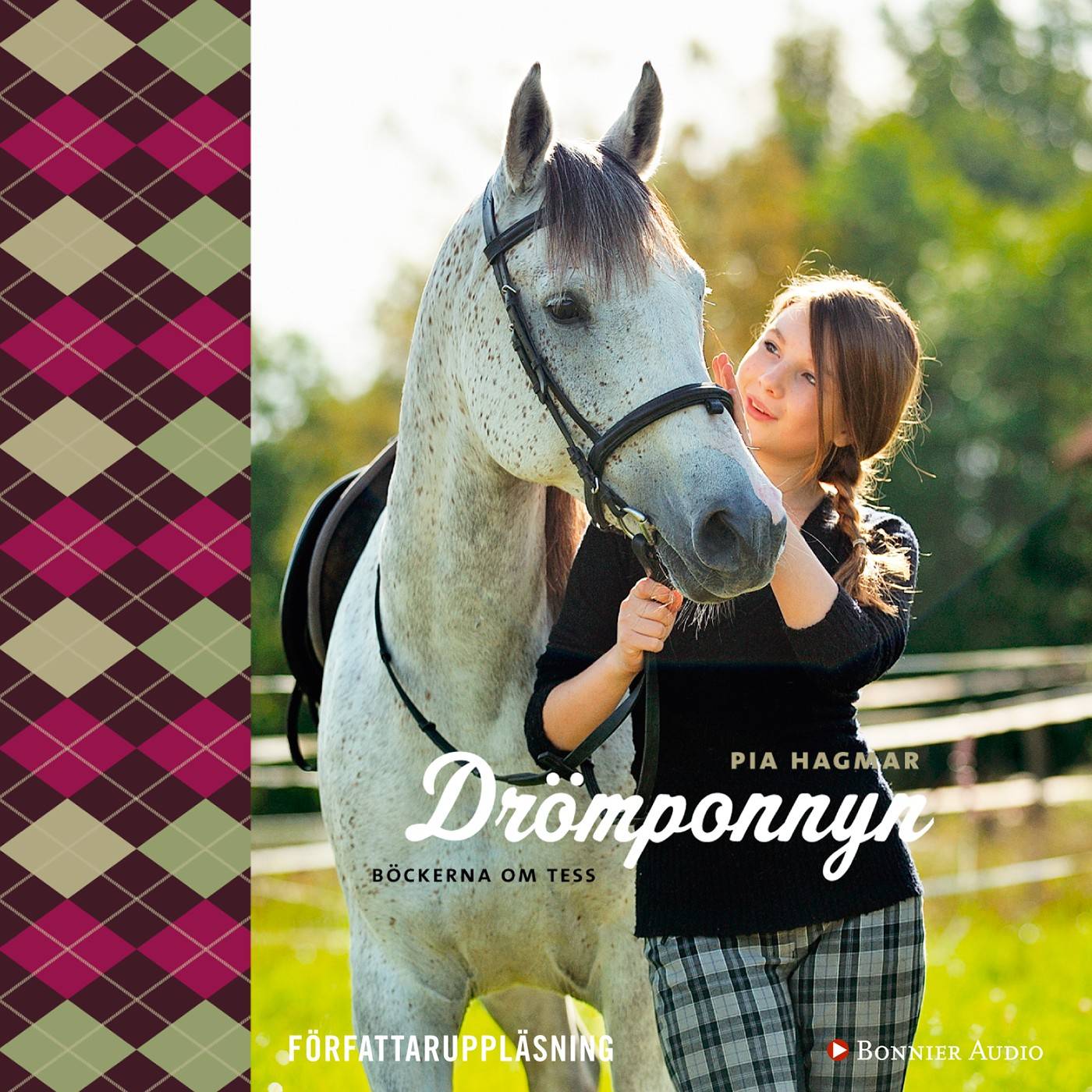 Drömponnyn