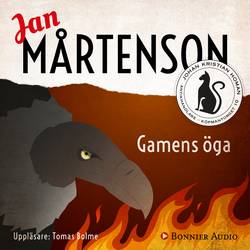 Gamens öga