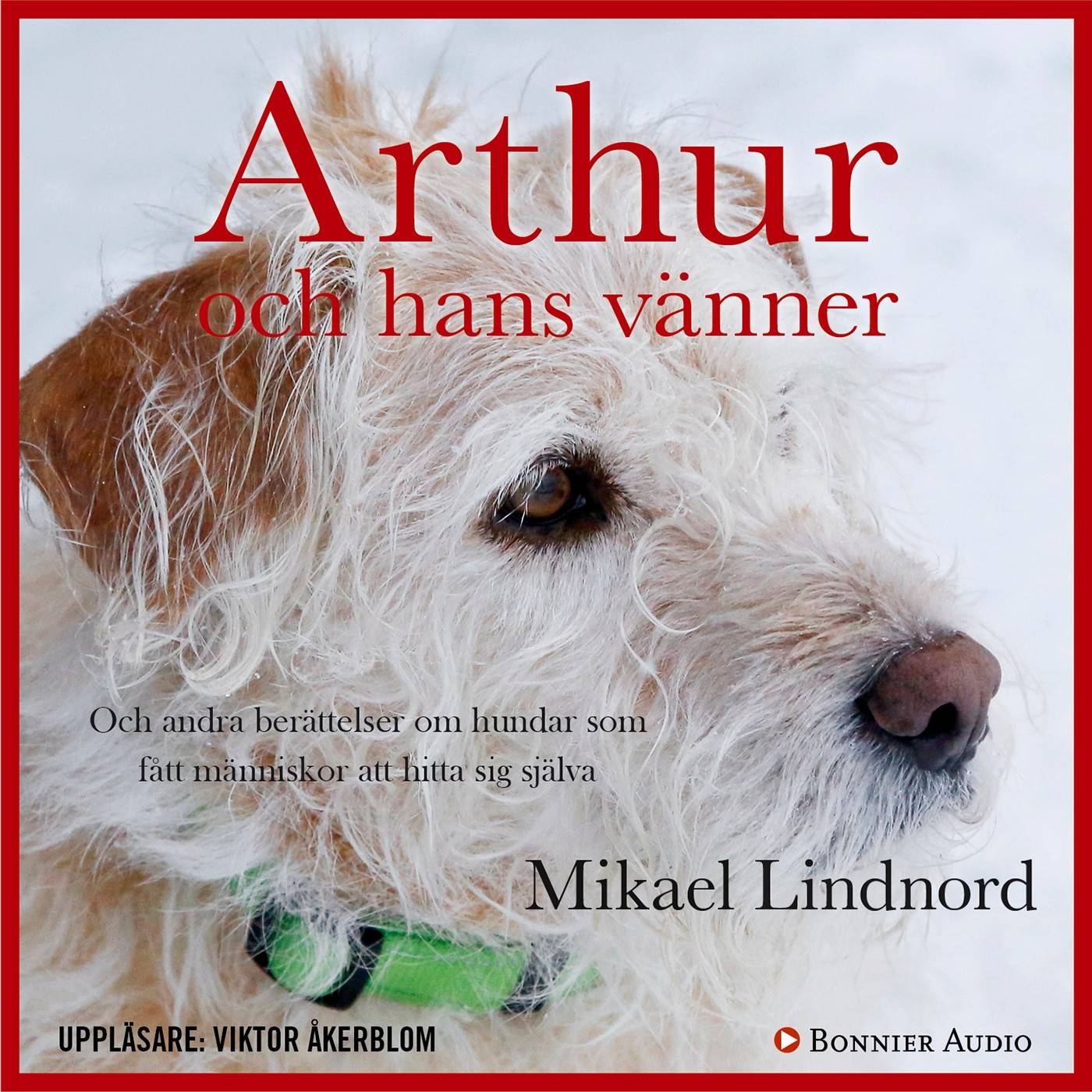 Arthur och hans vänner : och andra berättelser om hundar som fått människor att hitta sig själva