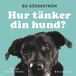 Hur tänker din hund?