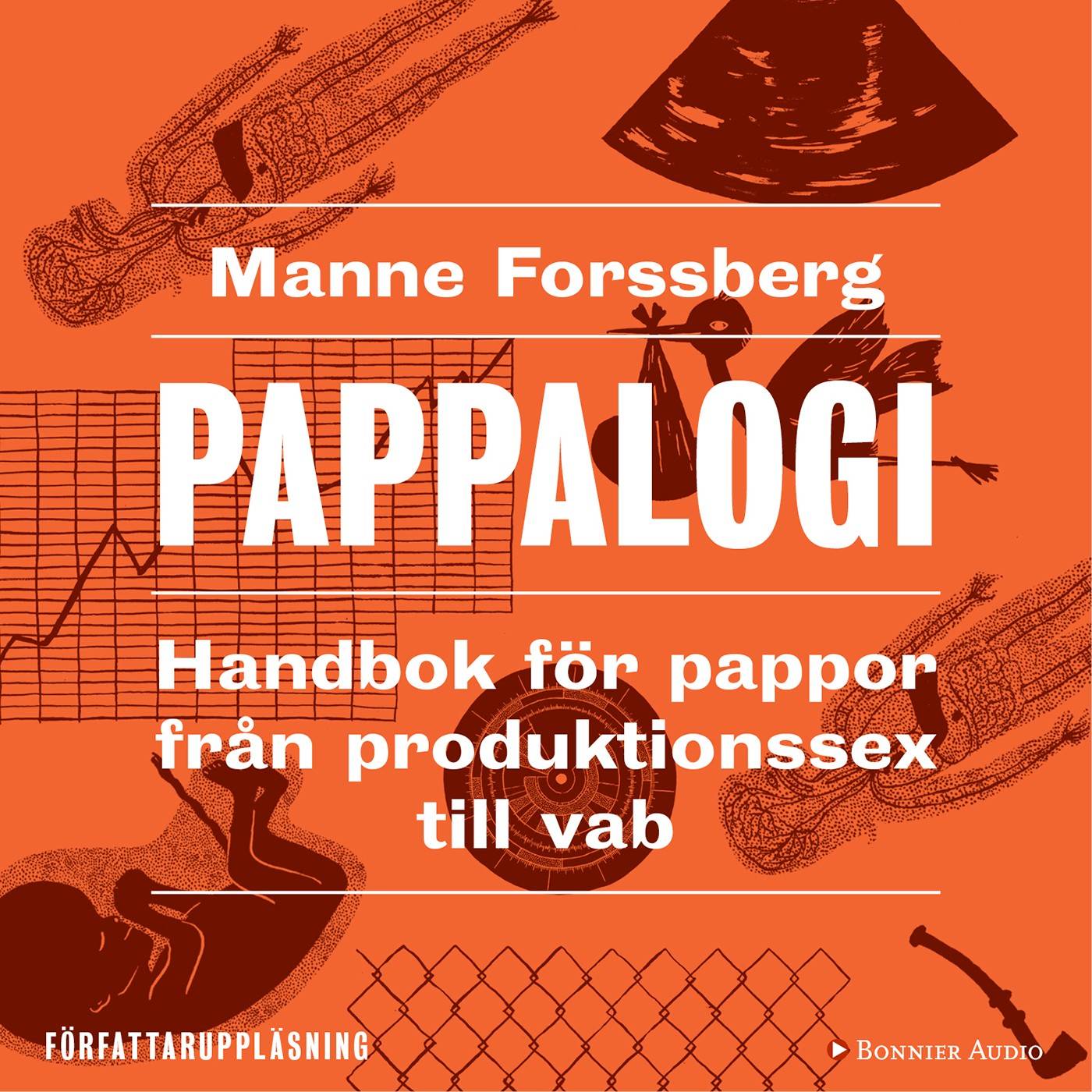 Pappalogi : handbok för pappor från produktionssex till vab