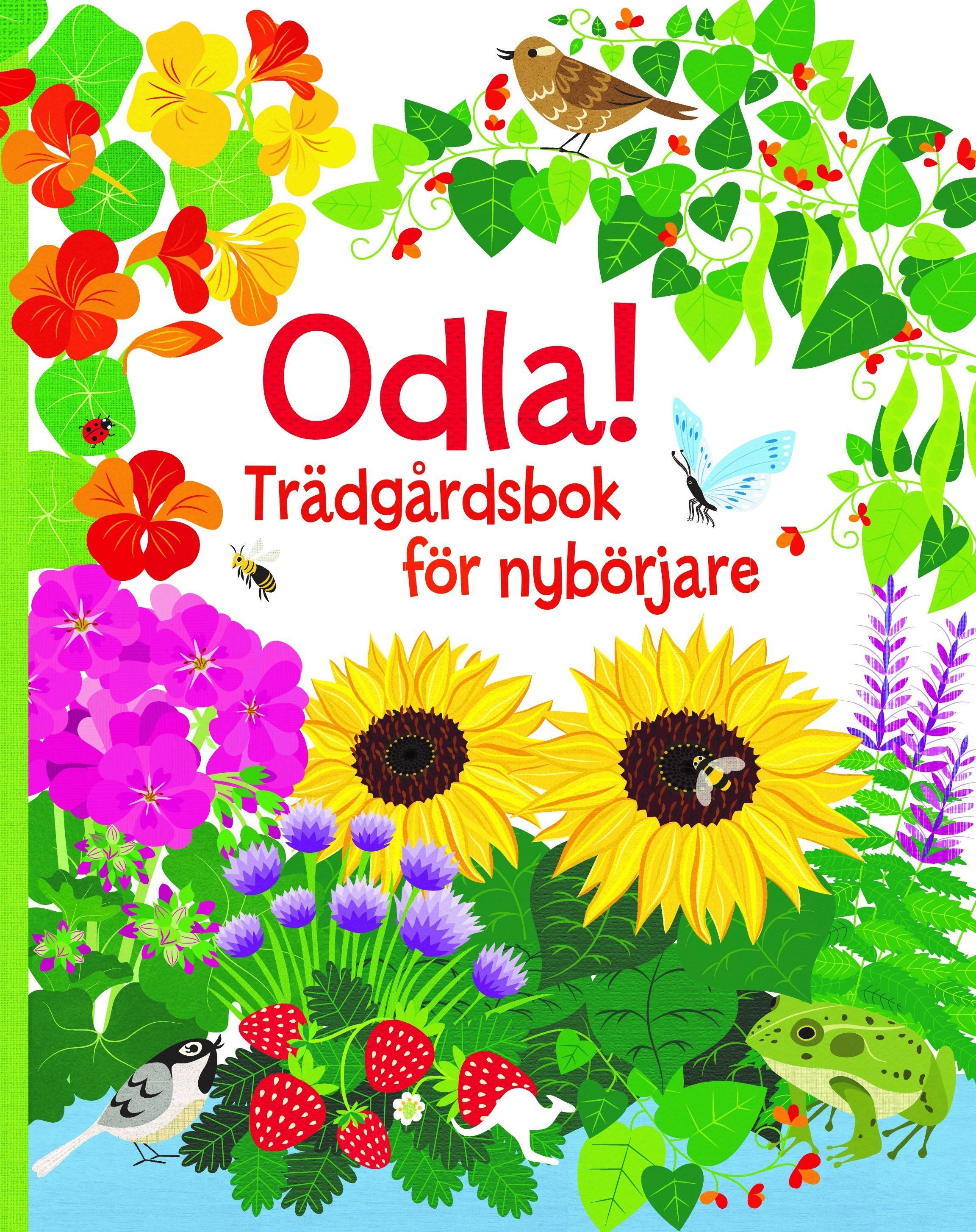 Odla! : trädgårdsbok för nybörjare