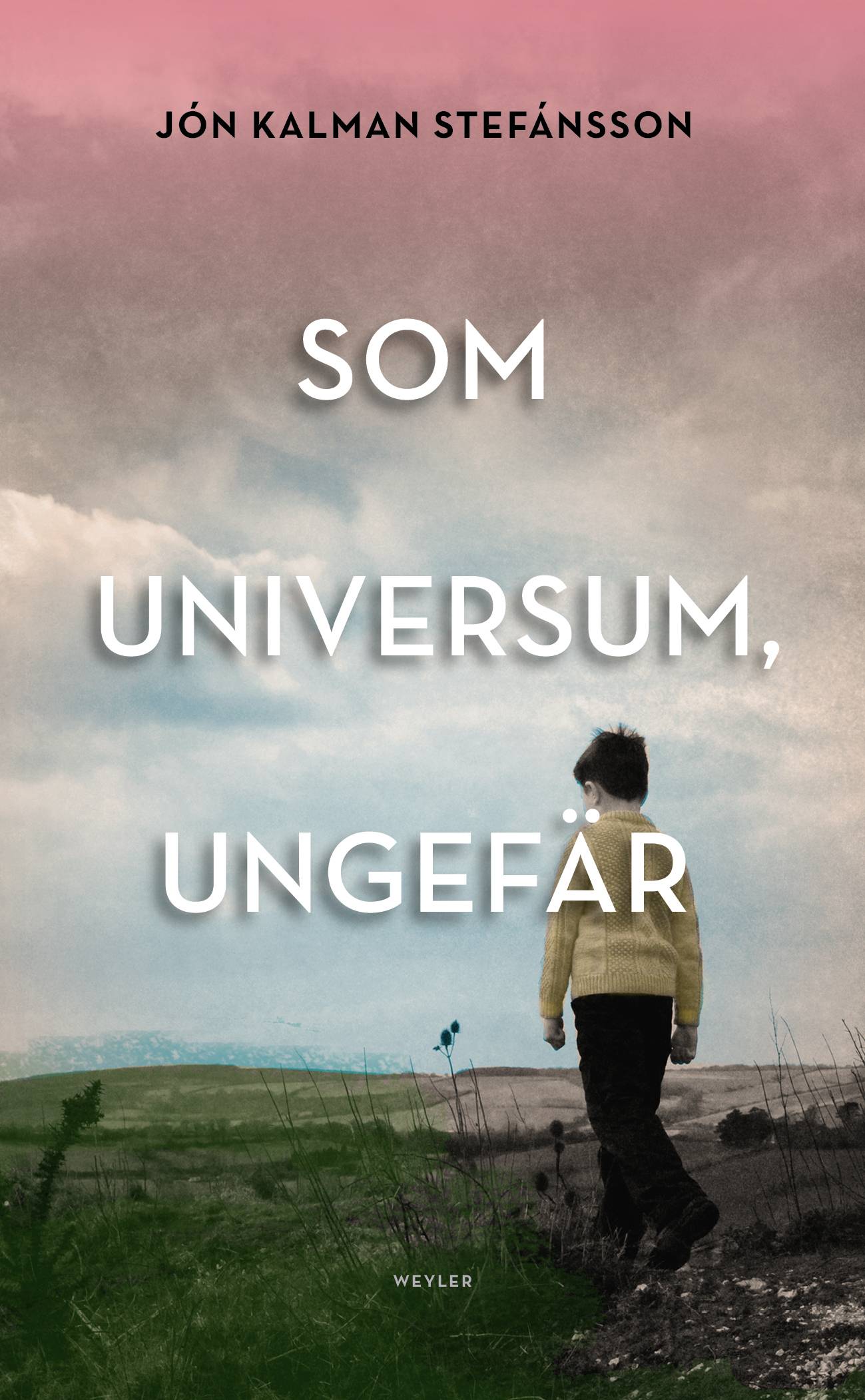 Som universum, ungefär : en släktroman