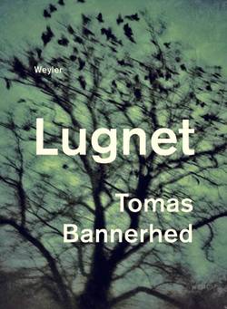 Lugnet