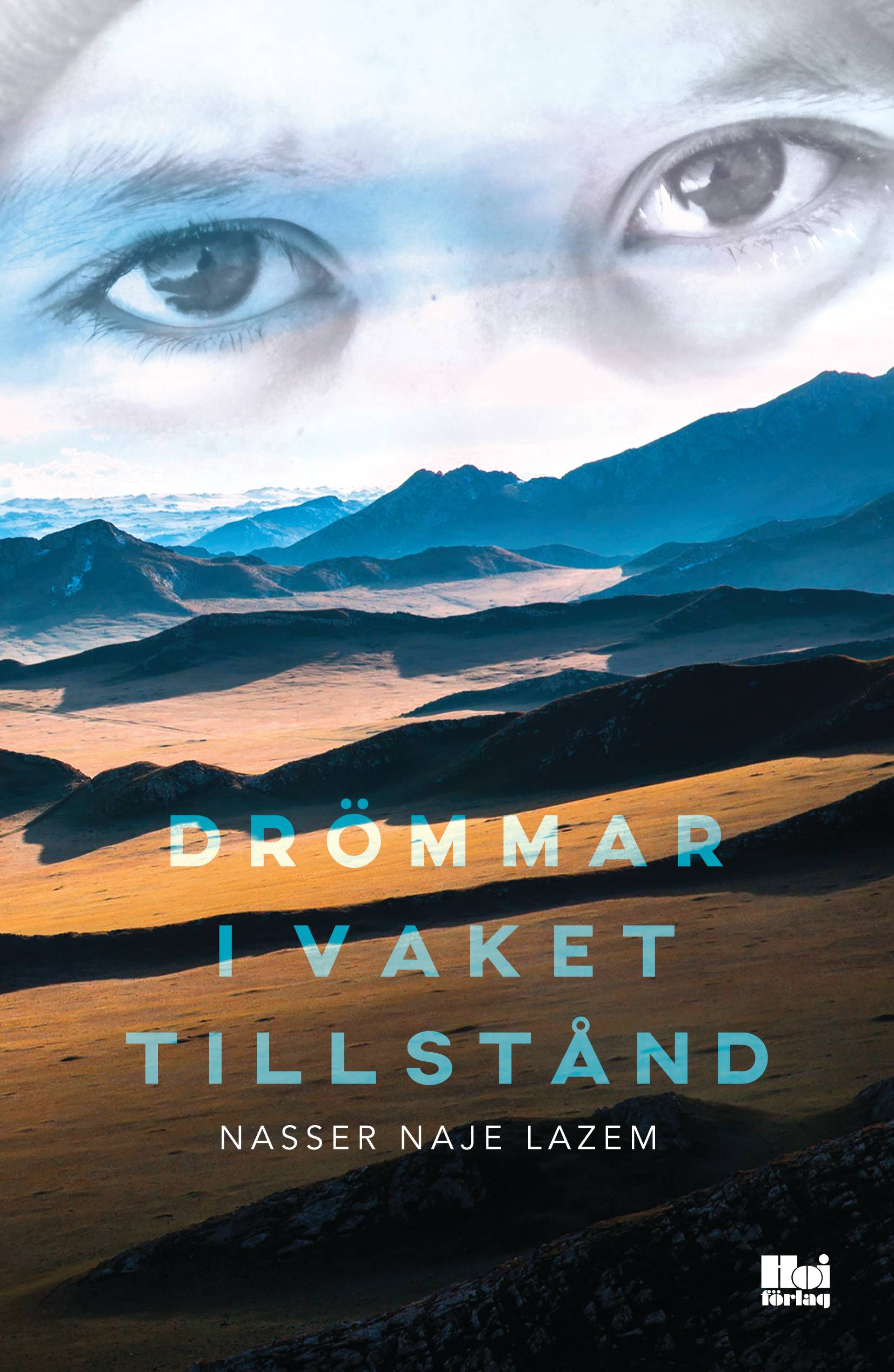 Drömmar i vaket tillstånd