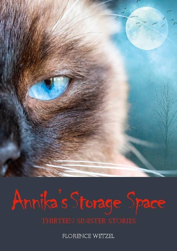 Annika's storage space : thirteen sinister stories