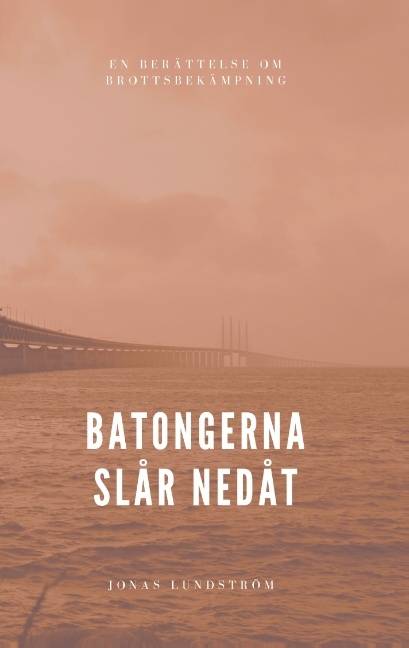 Batongerna slår nedåt : en berättelse om brottsbekämpning