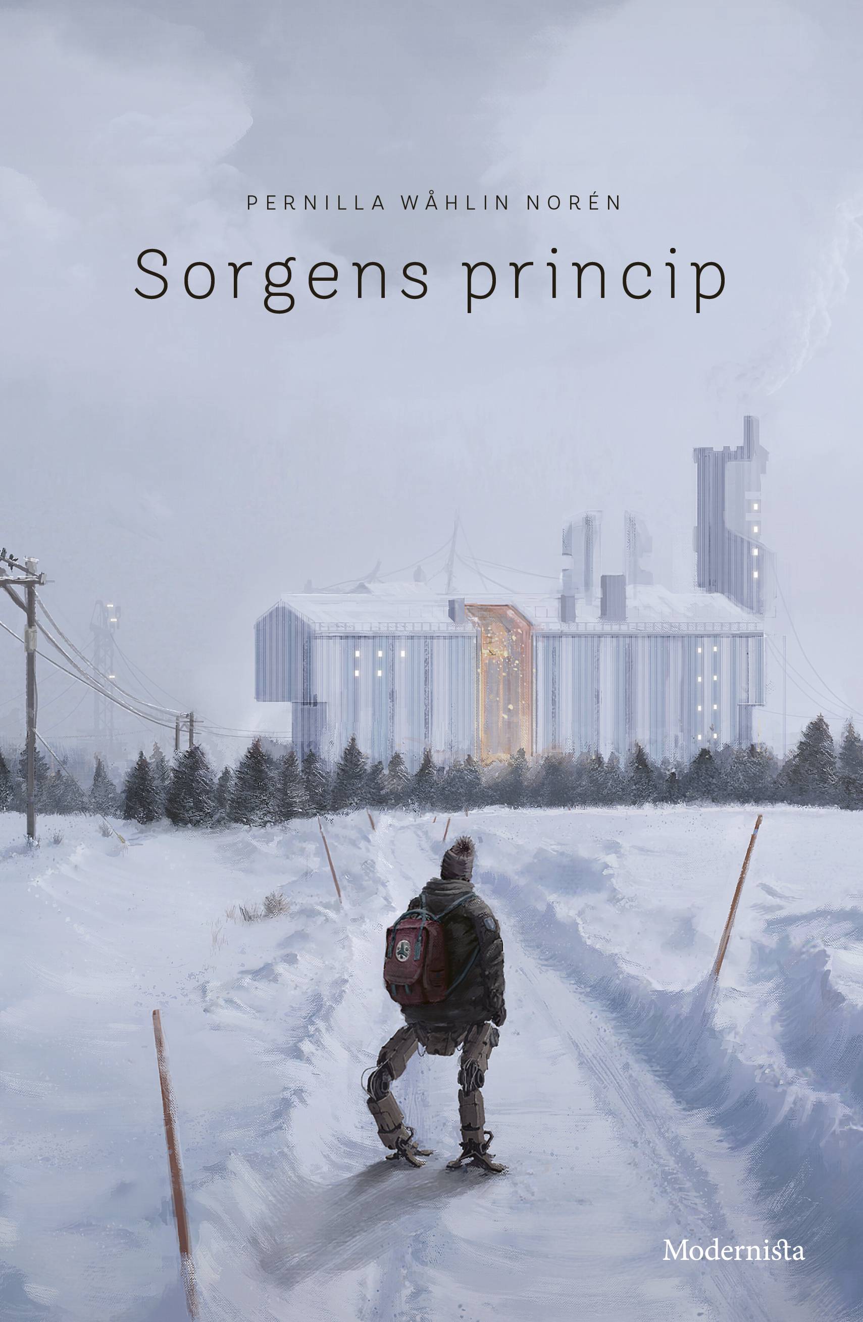 Sorgens princip