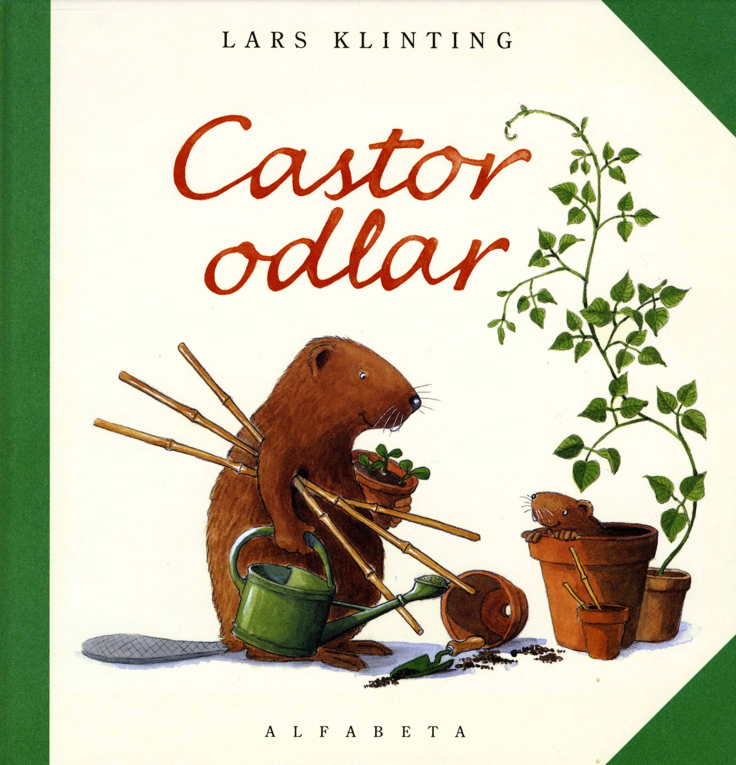 Castor odlar