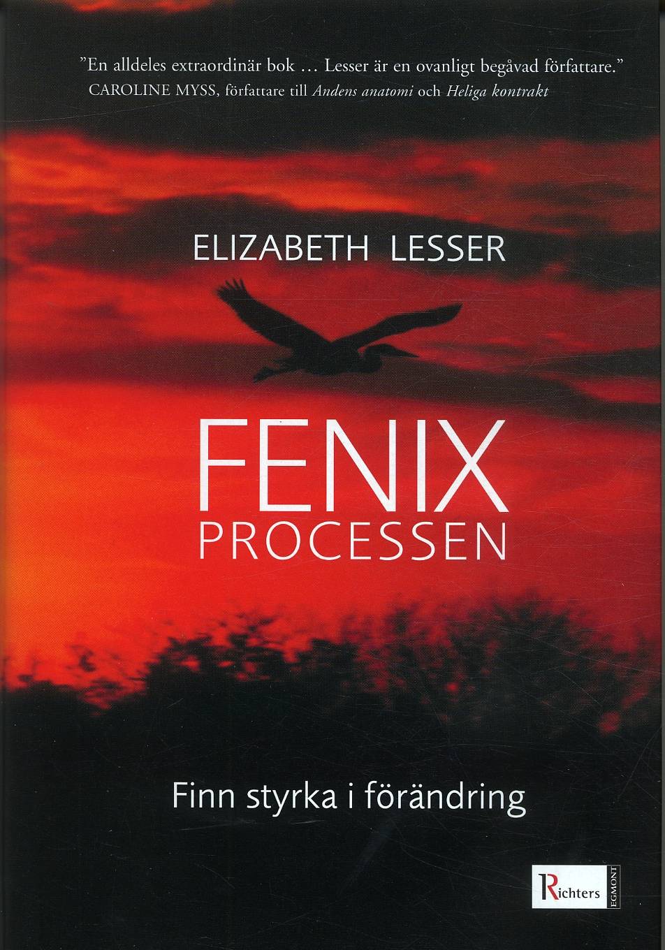 Fenixprocessen : finn styrka i förändring