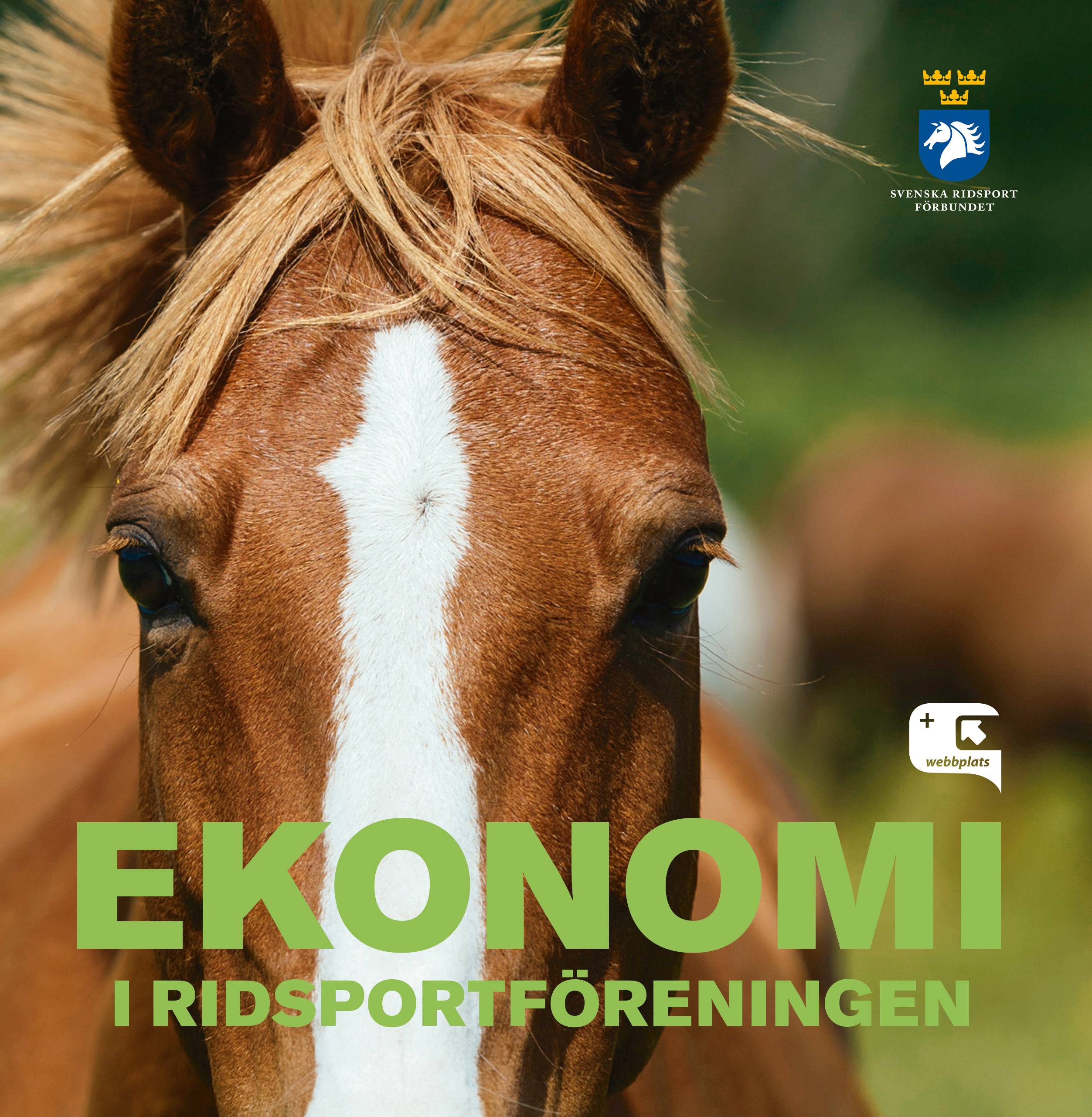 Ekonomi i ridsportföreningen