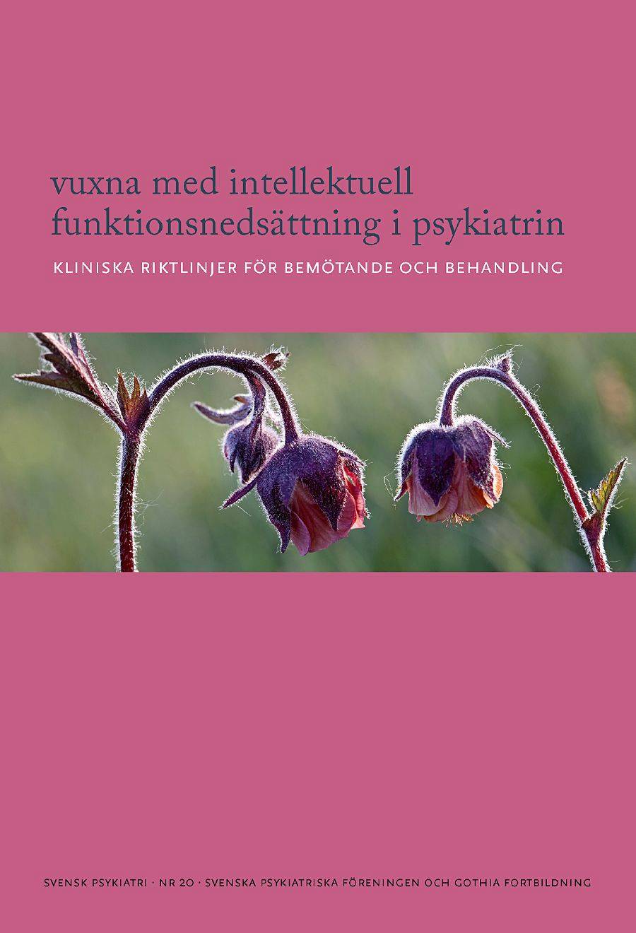 Vuxna med intellektuell funktionsnedsättning i psykiatrin : kliniska riktlinjer för bemötande och behandling