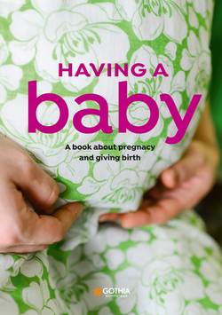 Having a baby : a book about pregnancy and giving birth