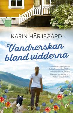 Vandrerskan bland vidderna