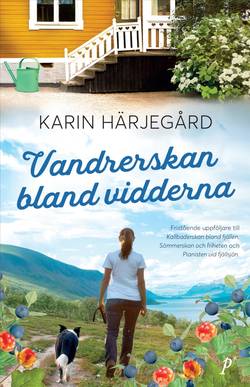 Vandrerskan bland vidderna