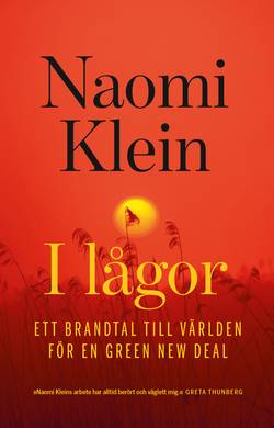 I lågor : ett brandtal till världen för en Green New Deal