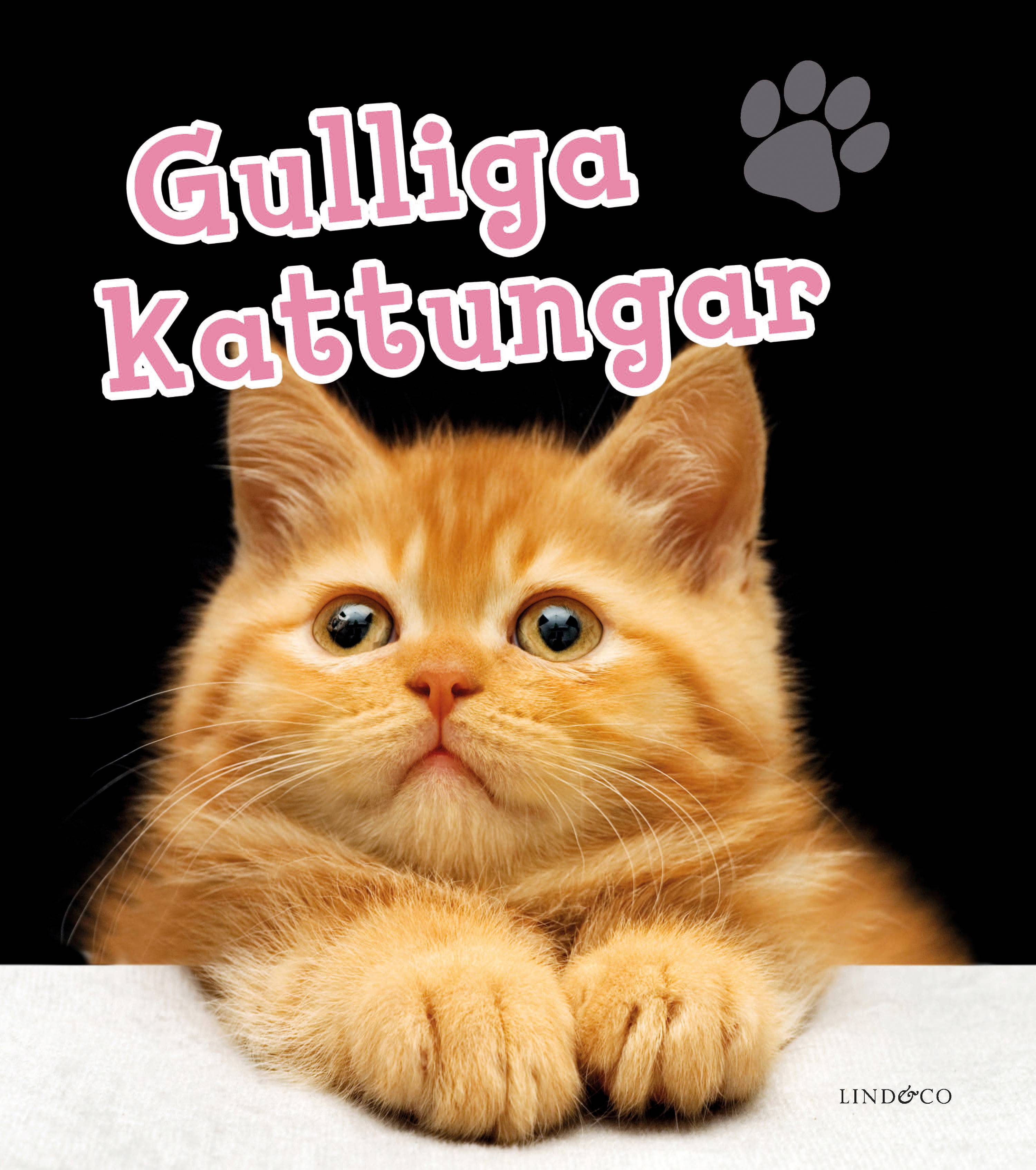 Gulliga kattungar