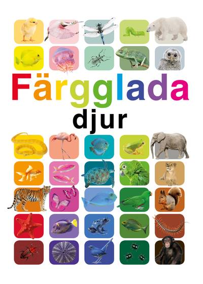 Färgglada djur