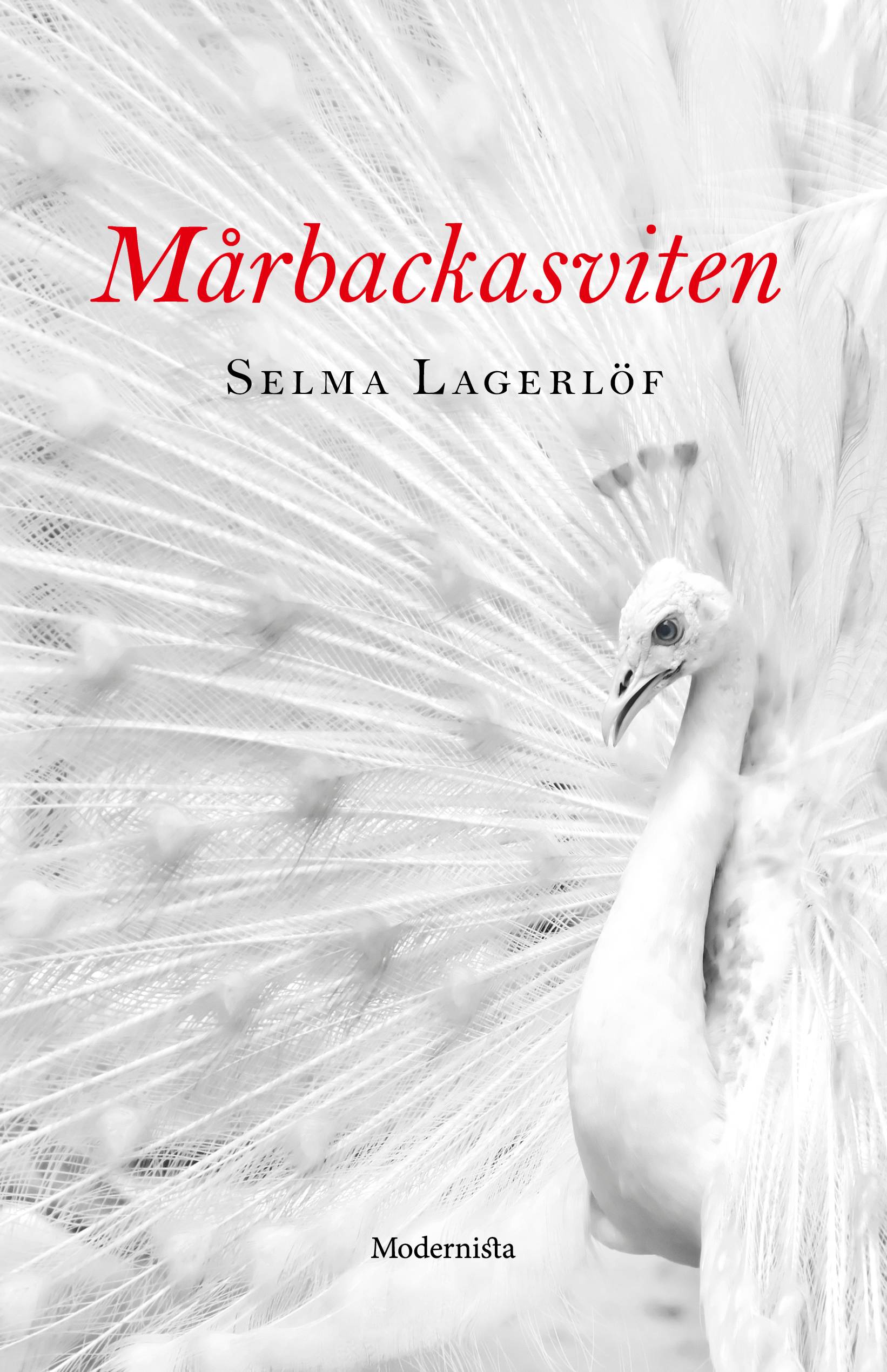 Mårbackasviten