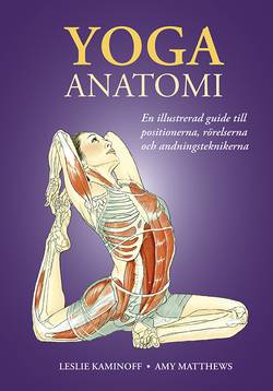 Yoga : anatomi