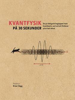 Kvantfysik på 30 sekunder : de 50 viktigaste begreppen inom kvantteorin, vart och ett förklarat på en halv minut