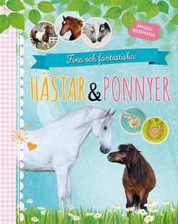 Fina och fantastiska hästar och ponnyer