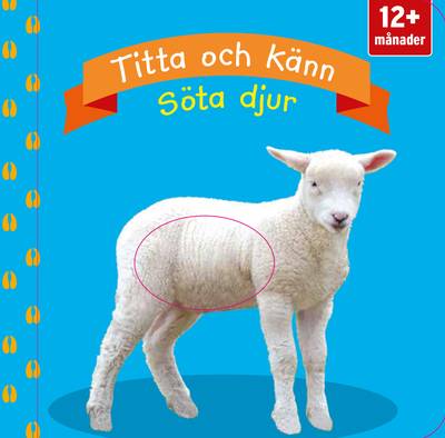 Titta och känn: söta djur